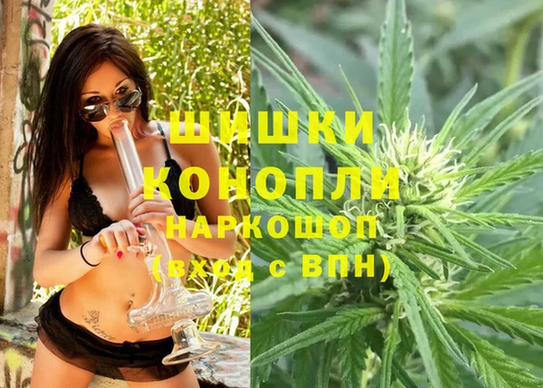 дмт Надым